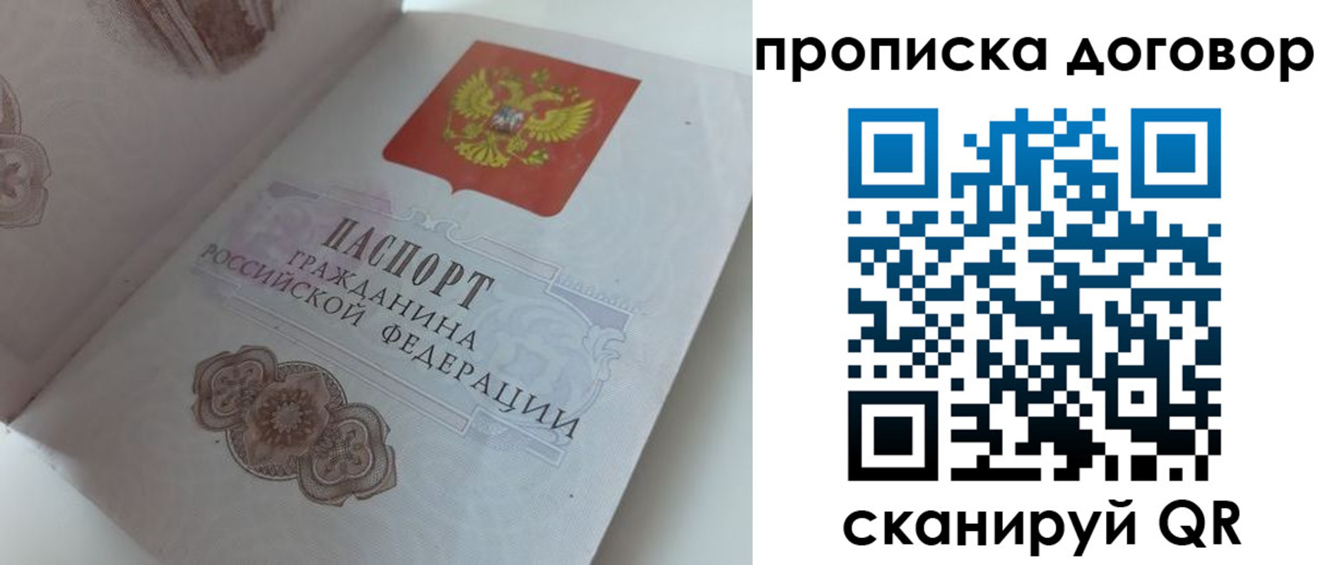 прописка поиск в Мурманске